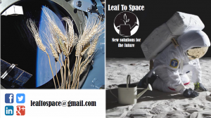 LeafToSpace